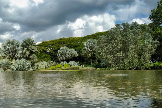 Get Out! – Hort Park