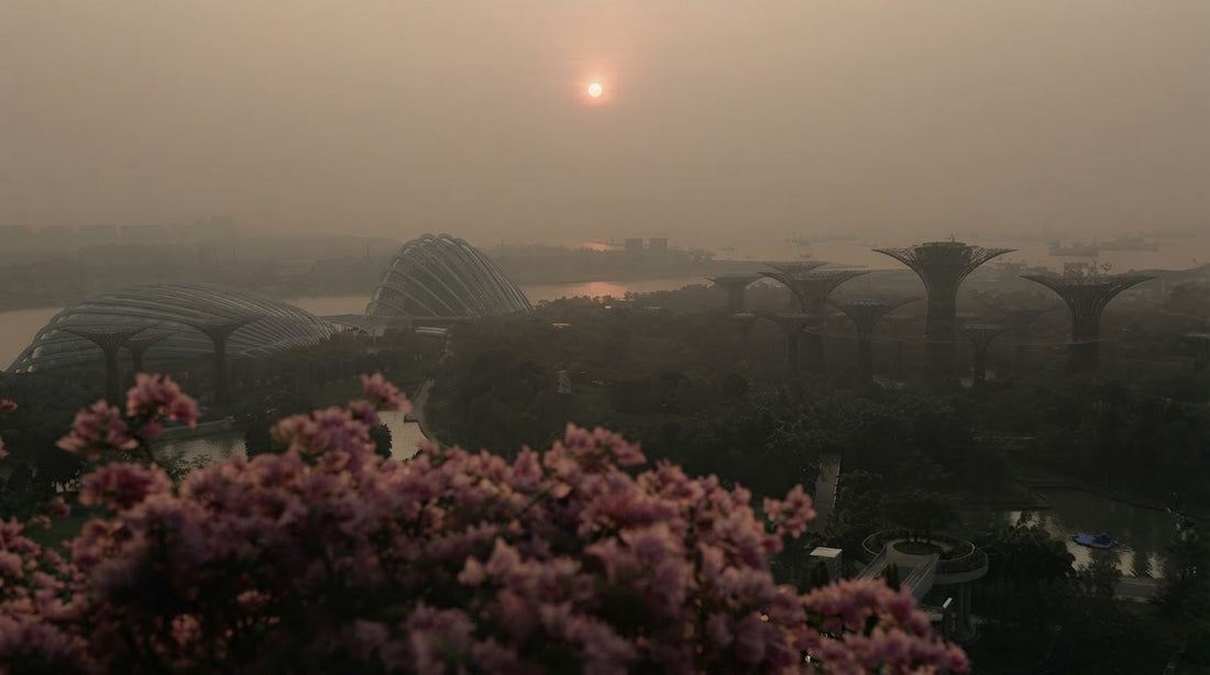 Haze in Singapore: What You Need to Know When the Air Turns Smok