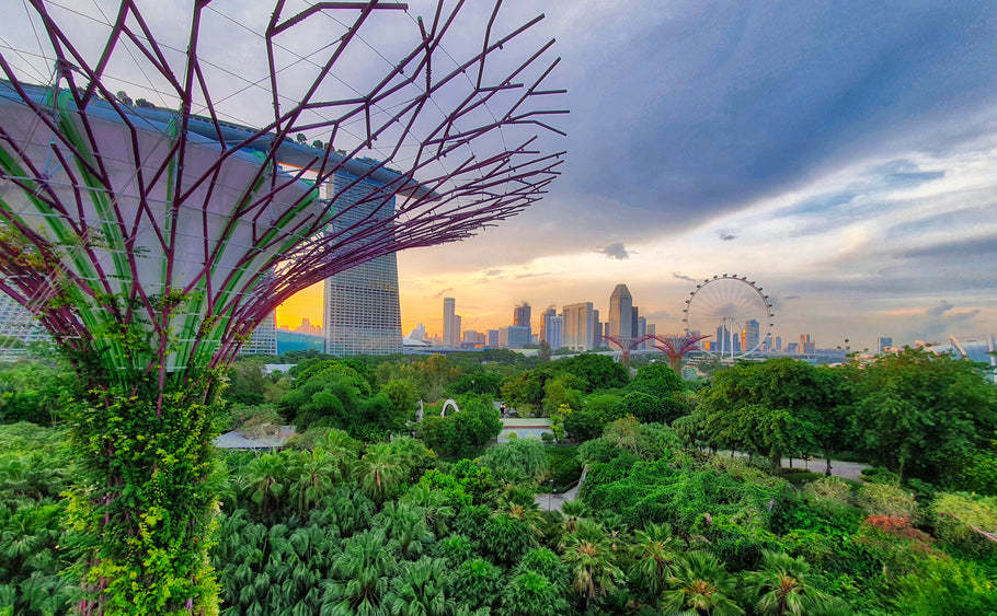 Get Out! – Gardens By The Bay – Flower Dome
