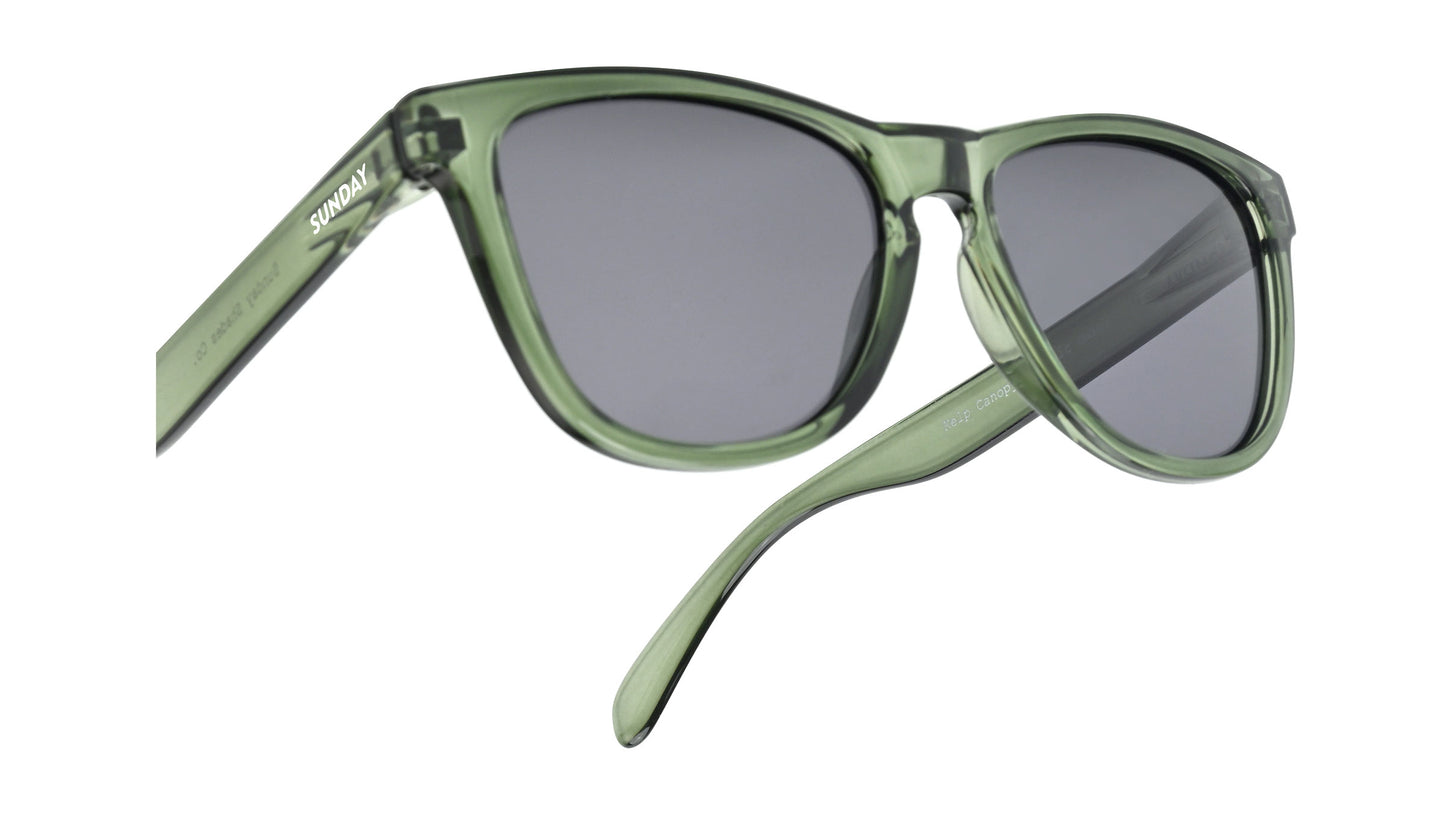 KELP CANOPY CLASSIC